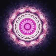 FRACTAL ART DESIGN GREETING CARD Emerging Pink Flower